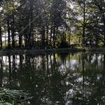 IMG_2496