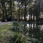 IMG_2497